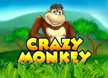 Crazy Monkey